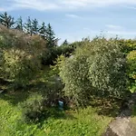 Warm Colors And Beautiful Outdoors In Thy בית נופש